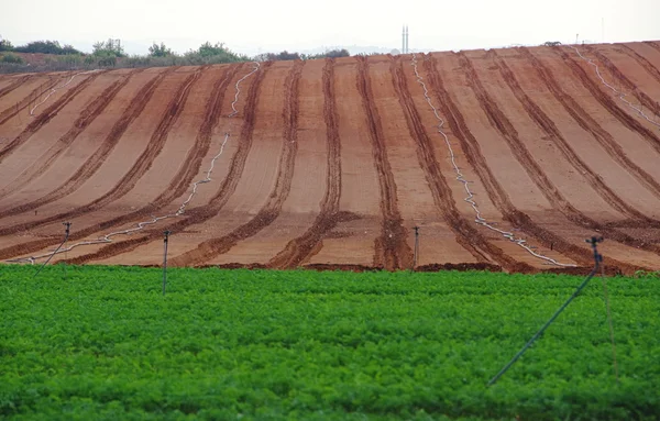 Freshly tilled field — Stock Photo, Image