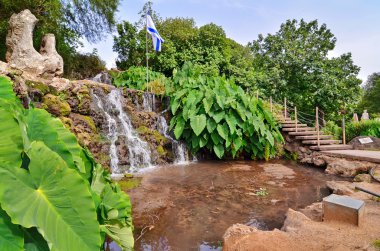 Oasis in a kibbutz in Israel clipart