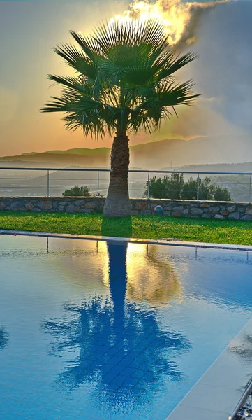 Palmboom in een Egeïsche zee zonsopgang — Stockfoto