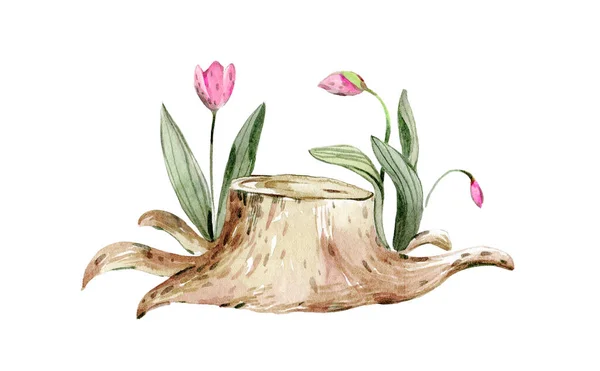 Watercolor Illustration Forest Stump Pink Fresh Spring Tulips Grow — Foto Stock