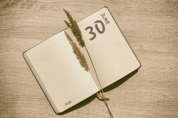 June 30Th Day Month Calendar Date Blank Pages Notebook Beige — Foto de Stock