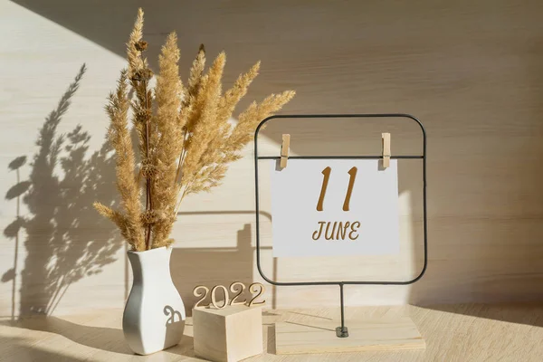 June 11Th Day Month Calendar Date White Vase Dead Wood Stock Photo