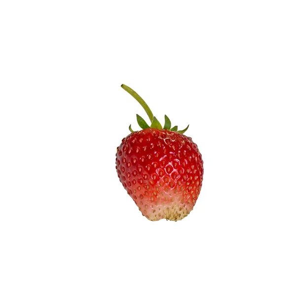 클리핑 패스와 함께 단일 stawberry — 스톡 사진