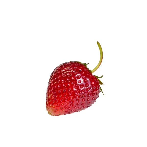 클리핑 패스와 함께 단일 stawberry — 스톡 사진