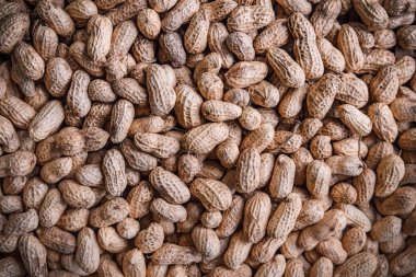 Satılık Market taze fıstık 