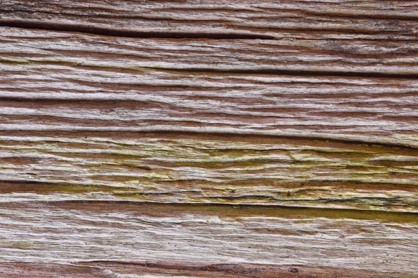 Wood  Background & Texture — Stock Photo, Image