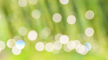 Doğa Bokeh Soyut Yeşil yaprak Sunny, bulanık bokeh üzerinden.