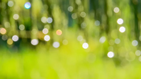 녹색 잎 써니, 흐린된 bokeh에서에서 자연 Bokeh 개요. — 스톡 사진