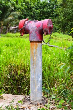 Eski yangın hidrant, hortum kaldırımda ateş