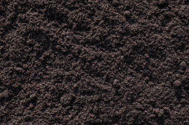 Soil texture background ,Black soil land for growth plant background. Top view