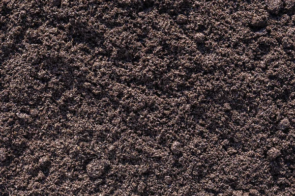 Soil texture background ,Black soil land for growth plant background. Top view