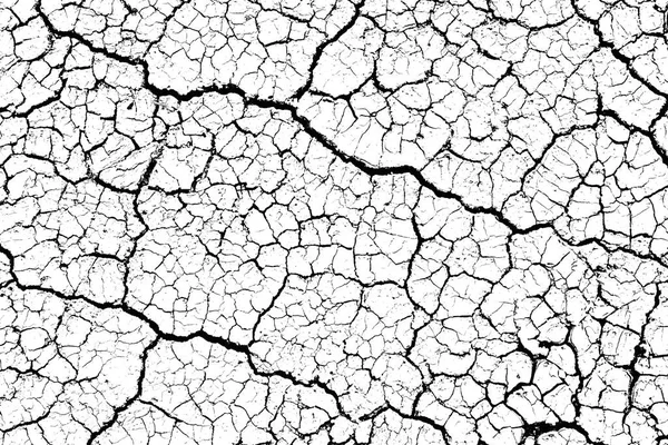 Close Summer Patterns Texture Cracked Soil Sunny Dried Earth Soil — Stock Photo, Image