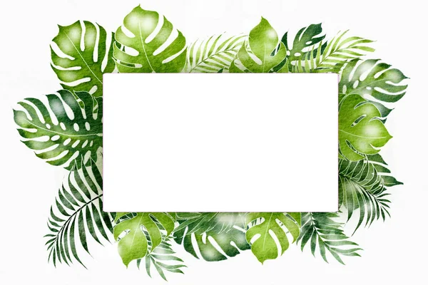 Přírodní Rám Akvarel Pozadí Zelené Listovým Okrajem Plakátu — Stock fotografie