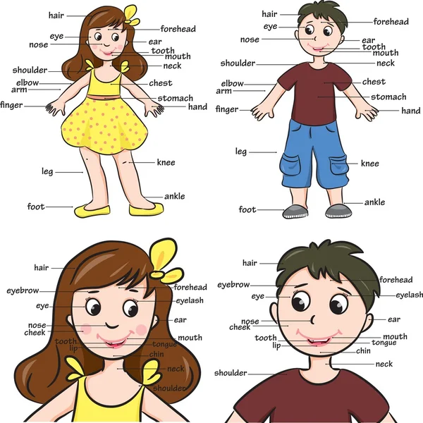Cartoon childl. Vocabulary of body parts — Stock Vector