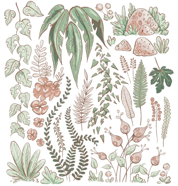 Rośliny Tropikalne Kwiaty Odizolowane Ilustracja Szkic Białym Tle Element Projektowy — Zdjęcie stockowe