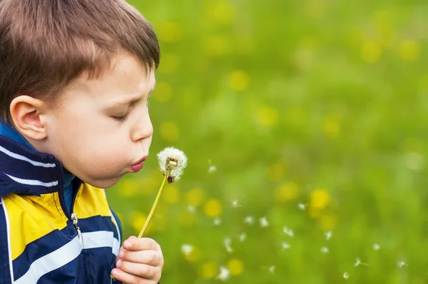 Boy blowing on dandelion — Stock Photo, Image