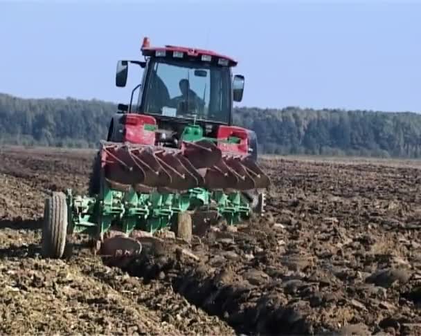 Traktor plows the land — Stock Video