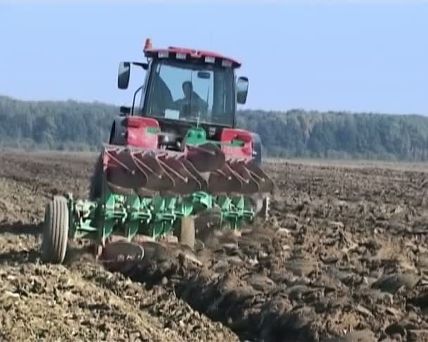 Traktor plows het land in het voorjaar. de landbouwer hoopt voor de toekomstige oogst. — Stockvideo