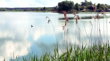 Orman Gölü yaz aylarında