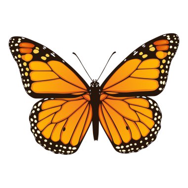 Monarch butterfly. Hand drawn vector illustration clipart
