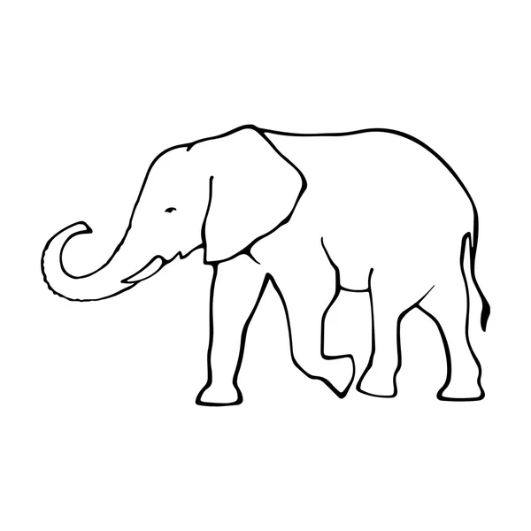 Vector overzicht olifant illustrarion. sjabloon voor ontwerp — Stockvector