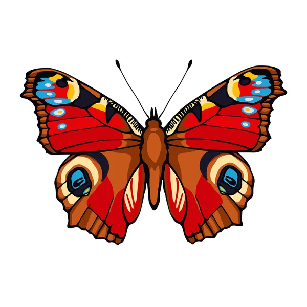 Mariposa del pavo real. Ilustración vectorial dibujada a mano — Vector de stock