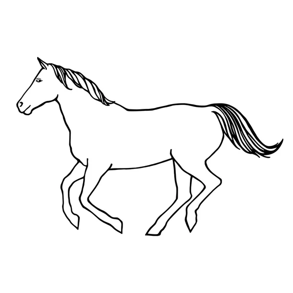 Ilustración del esquema vectorial del caballo de carrera — Archivo Imágenes Vectoriales