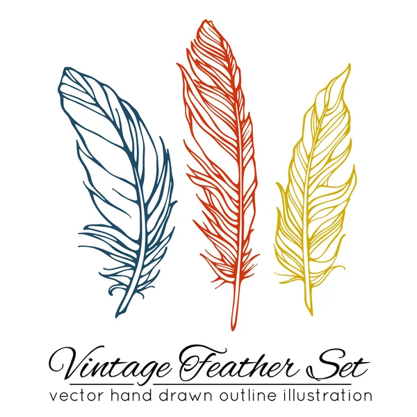 Vintage feather set isolated on white background — Stock Vector