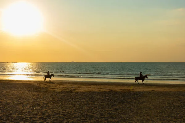 Gün batımında Chaung Thar sahilinde ata binmek, Myanmar.