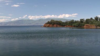 bir koyda Yüzme yunuslar