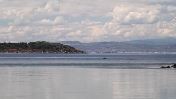Dolfijnen zwemmen in een baai — Stockvideo