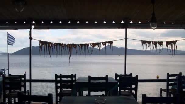 Осьминог высыхает в греческой таверне у моря — стоковое видео