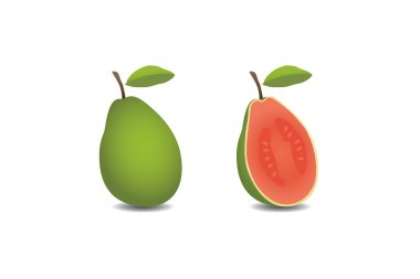 vektör guava meyve