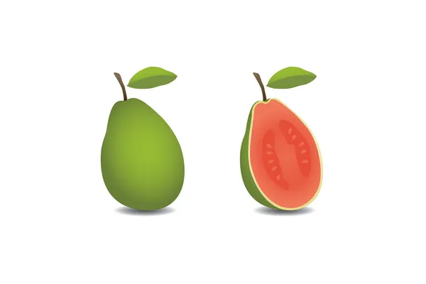 เวกเตอร์ guava ผลไม้ — ภาพเวกเตอร์สต็อก