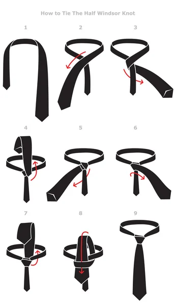 Anleitung zum Binden von halben Windknoten — Stockvektor