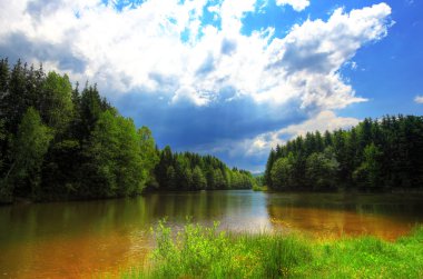 dağ lake Forest