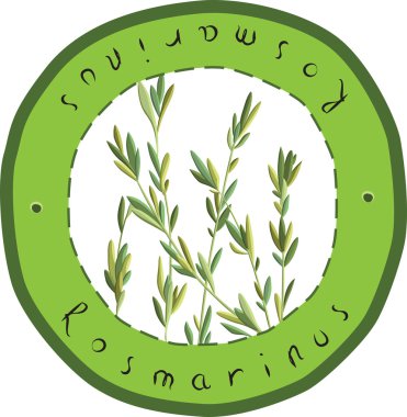 Rosmarinus