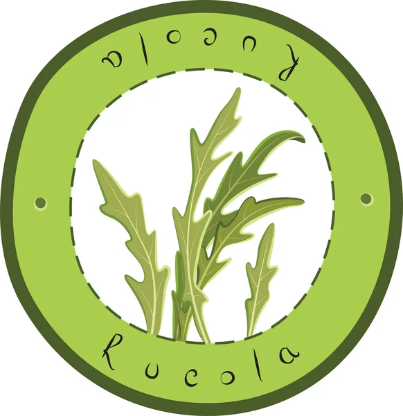 Rucola — Stockvector