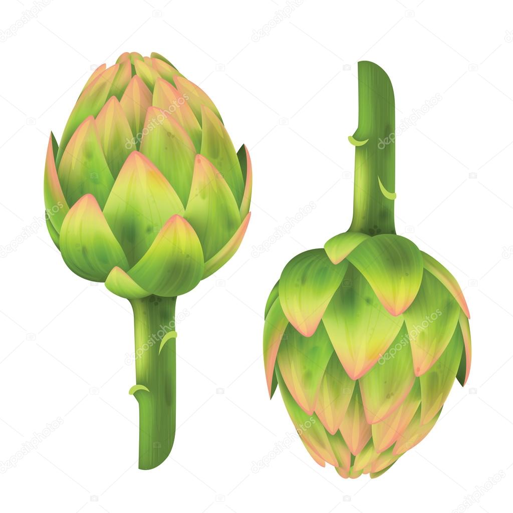 Artichoke