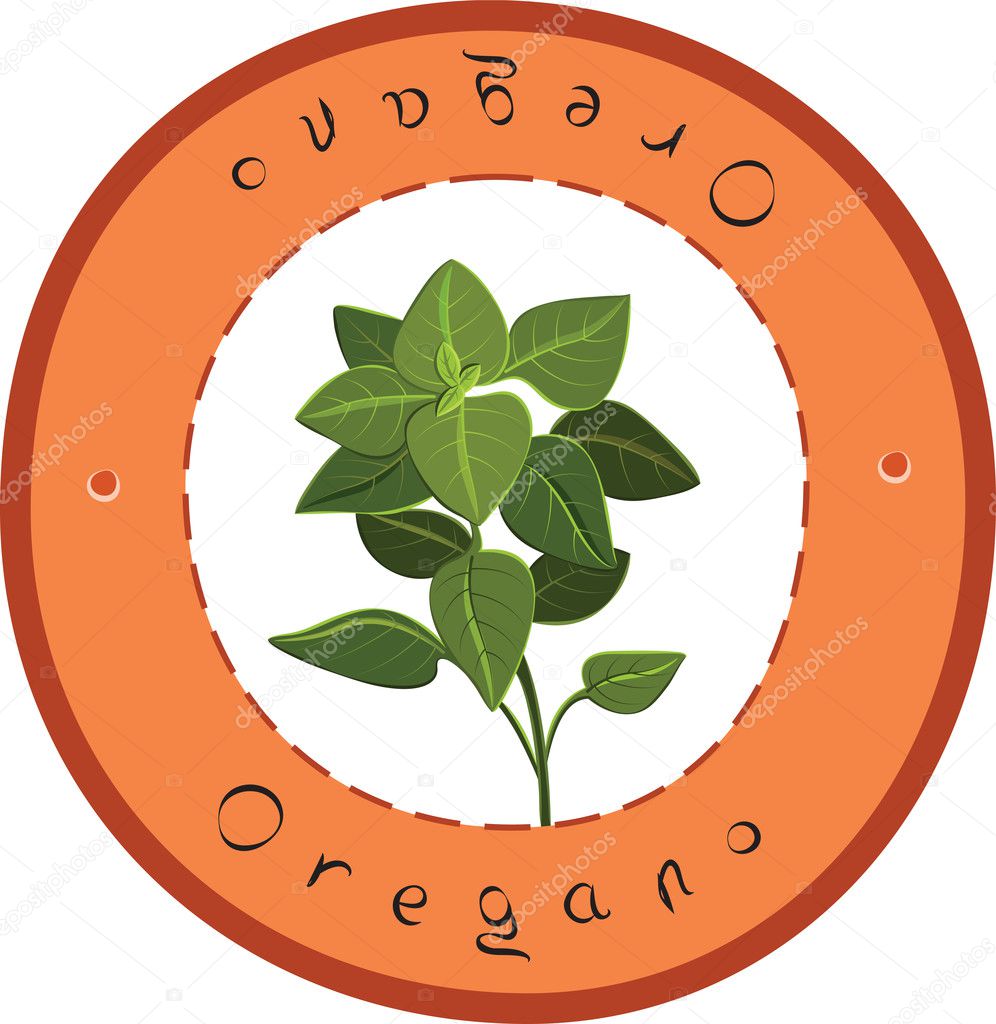 Oregano