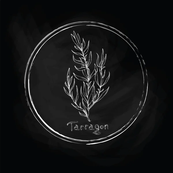 Dark tarragon — Stock Vector