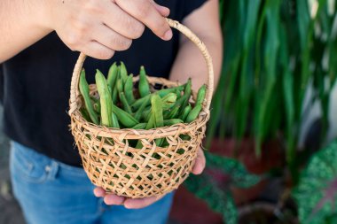 Elinde bir sepet taze Baguio fasulyesi tutan isimsiz bir kadın..