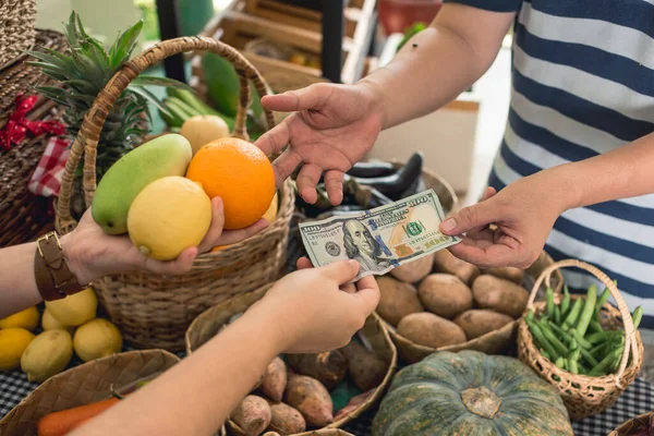 Man Hands 100 Dollar Bill Vendor Pay Few Fruits Purchase — Stock Photo, Image