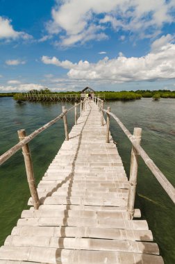 Mangrov adasına bağlanan bambudan yapılmış küçük bir rıhtım ya da yürüyüş yolu. Tubigon, Bohol, Filipinler 'deki Cabgan Adası' nda.