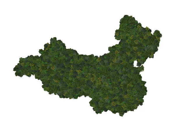 Top View Forest Trees Forming Map Mainland China Top View — Zdjęcie stockowe