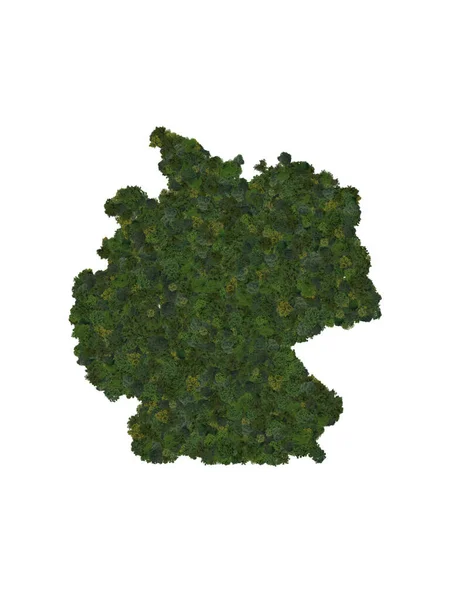 Top View Forest Trees Forming Map Germany Top View Environmental — ストック写真