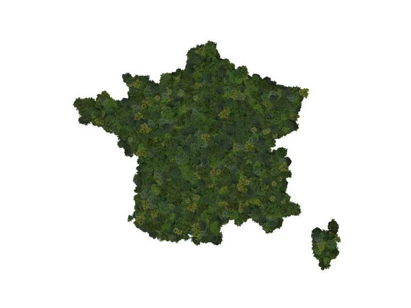 Top View Forest Trees Forming Map France Top View Environmental — ストック写真