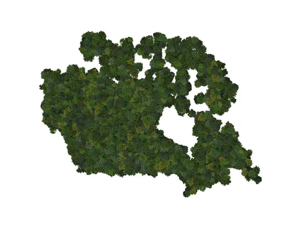 Top View Forest Trees Forming Map Canada Top View Environmental — ストック写真