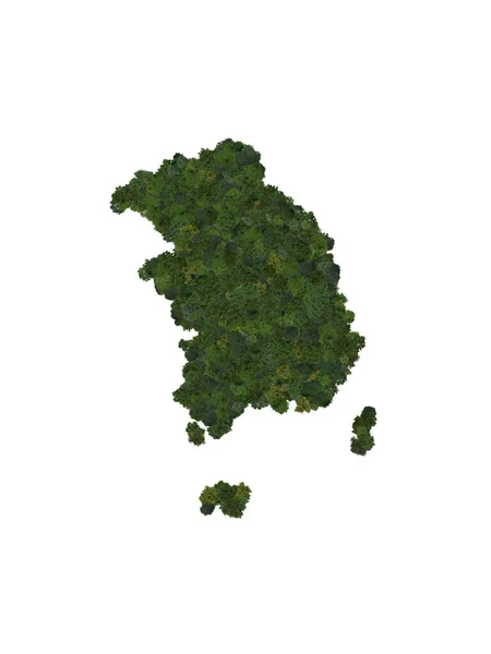 Top View Forest Trees Forming Map Spain Top View Environmental — Zdjęcie stockowe