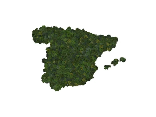Top View Forest Trees Forming Map Spain Top View Environmental Rechtenvrije Stockfoto's